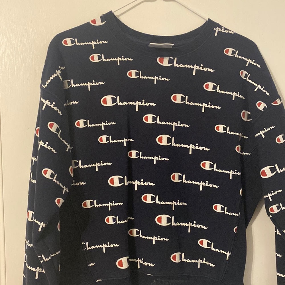 Champion pull over